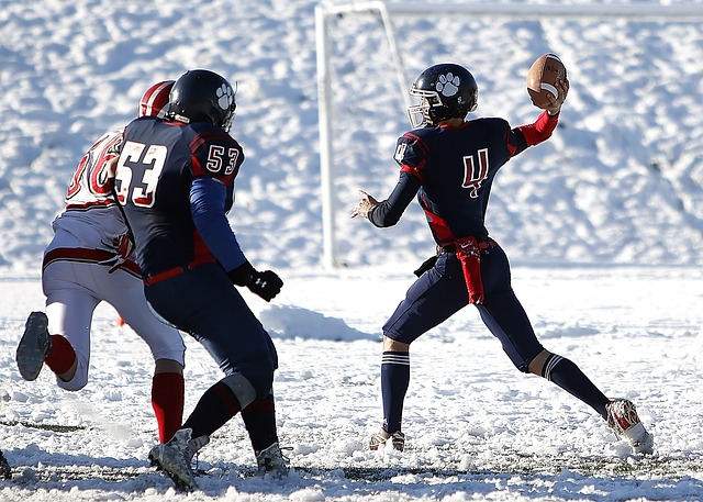 特里皮尔都 特里皮尔都