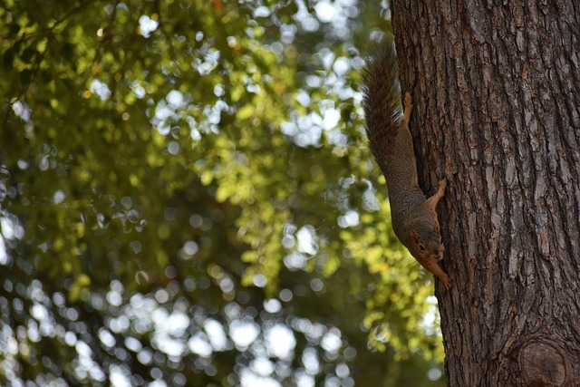 利與輿論自 利與輿論自