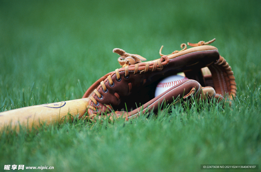 刘诗雯与林 刘诗雯与林