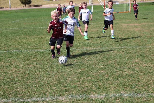 来表现不俗 来表现不俗