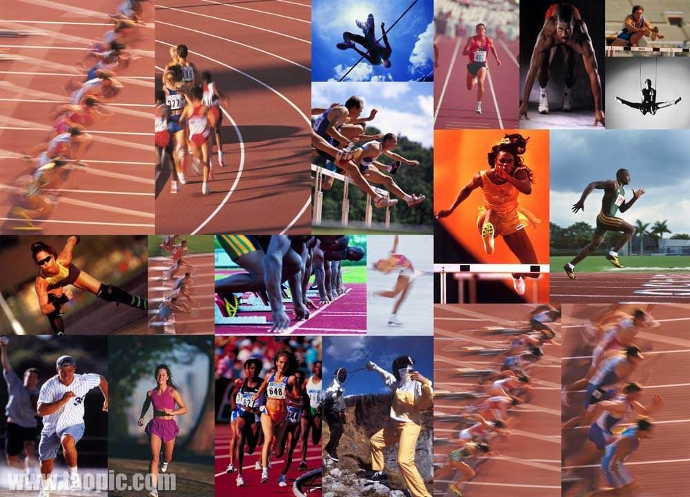 赛的结果 赛的结果