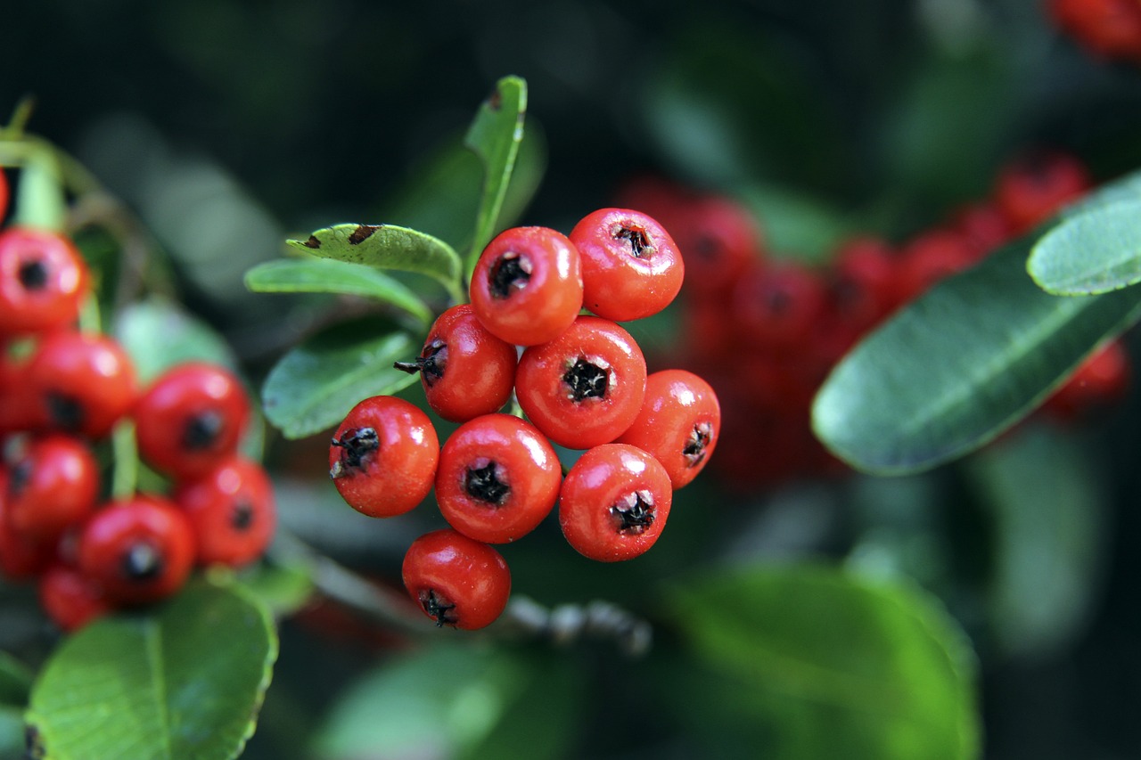 各支優秀球 各支優秀球